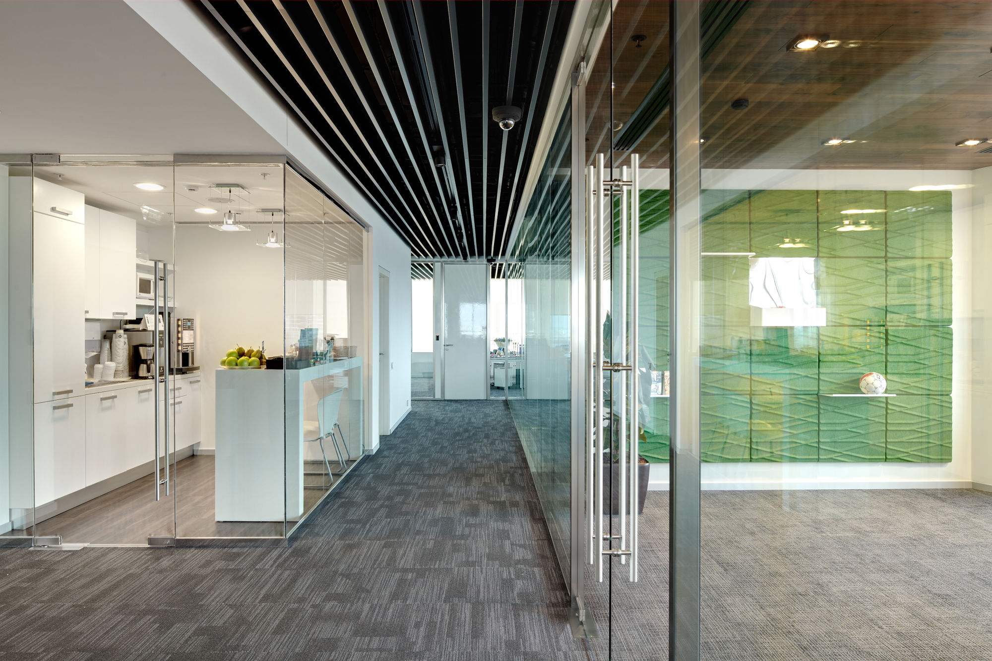 Photo Glass doors (all-glass)