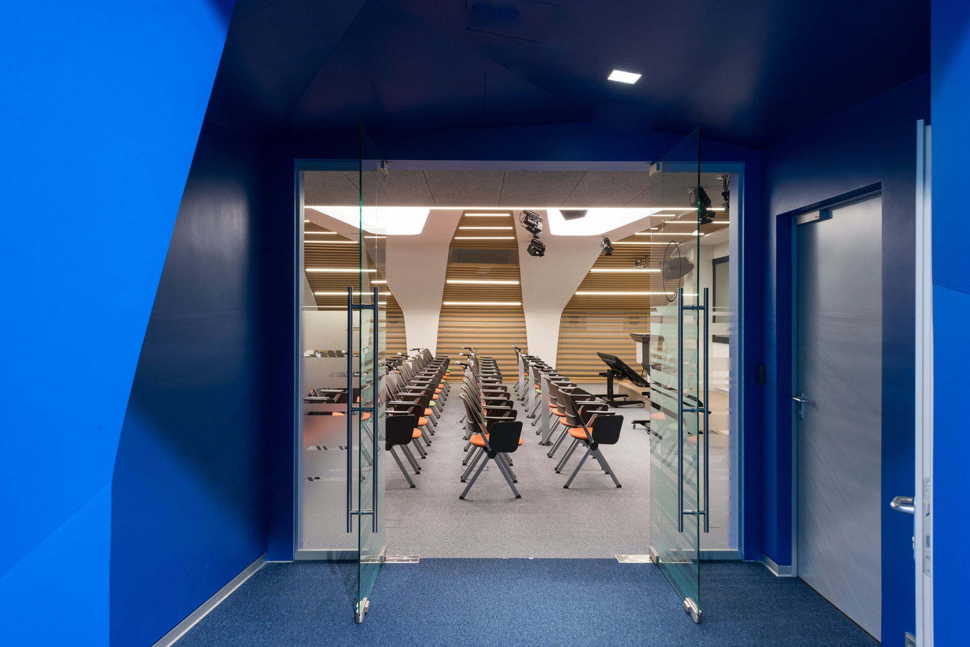 Photo Glass doors (all-glass)