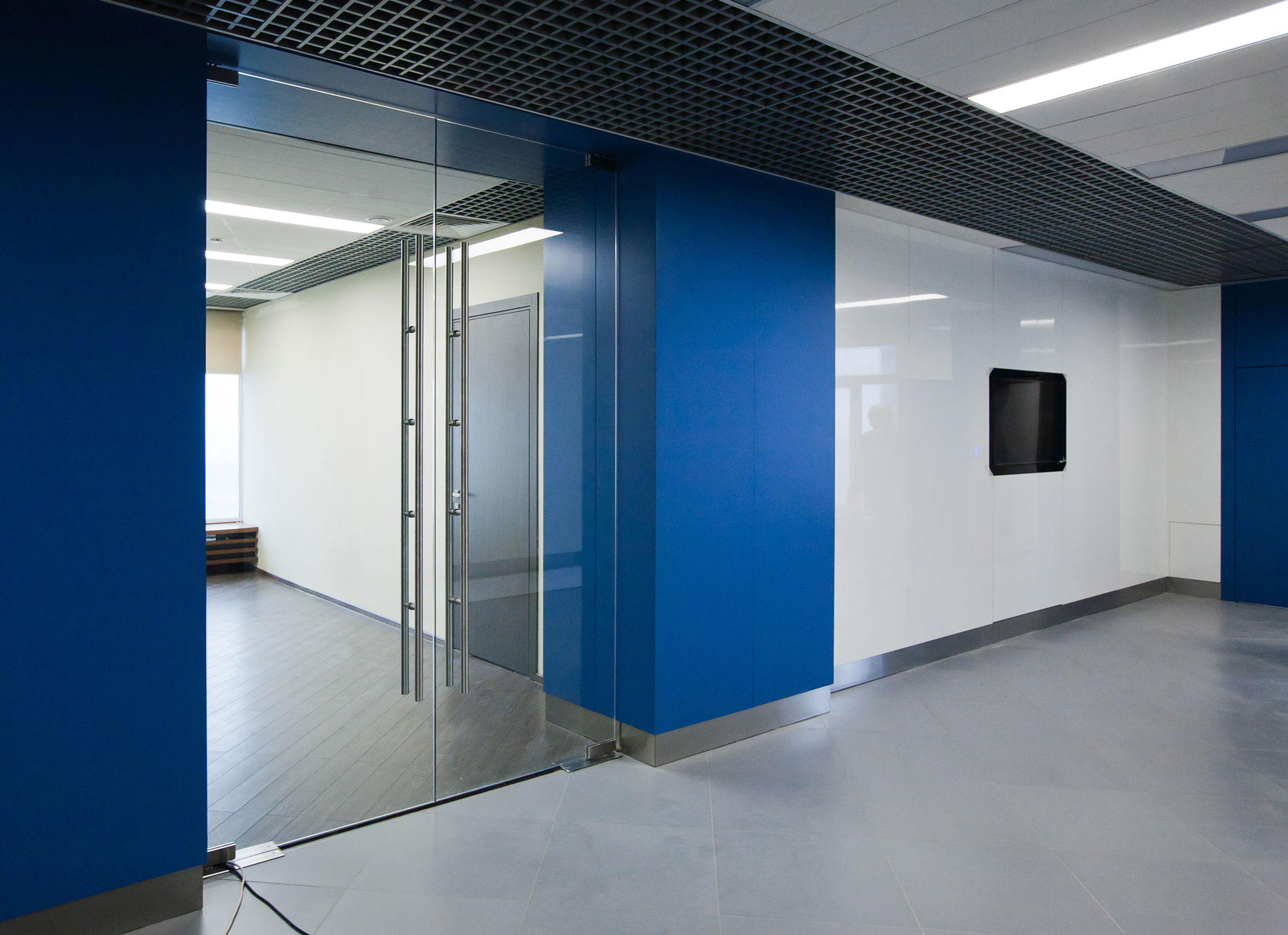 Photo Glass doors (all-glass)