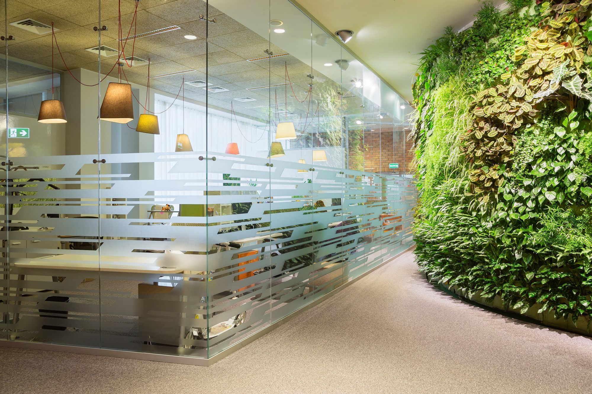 Photo Glass partitions UALCOM-Crystal