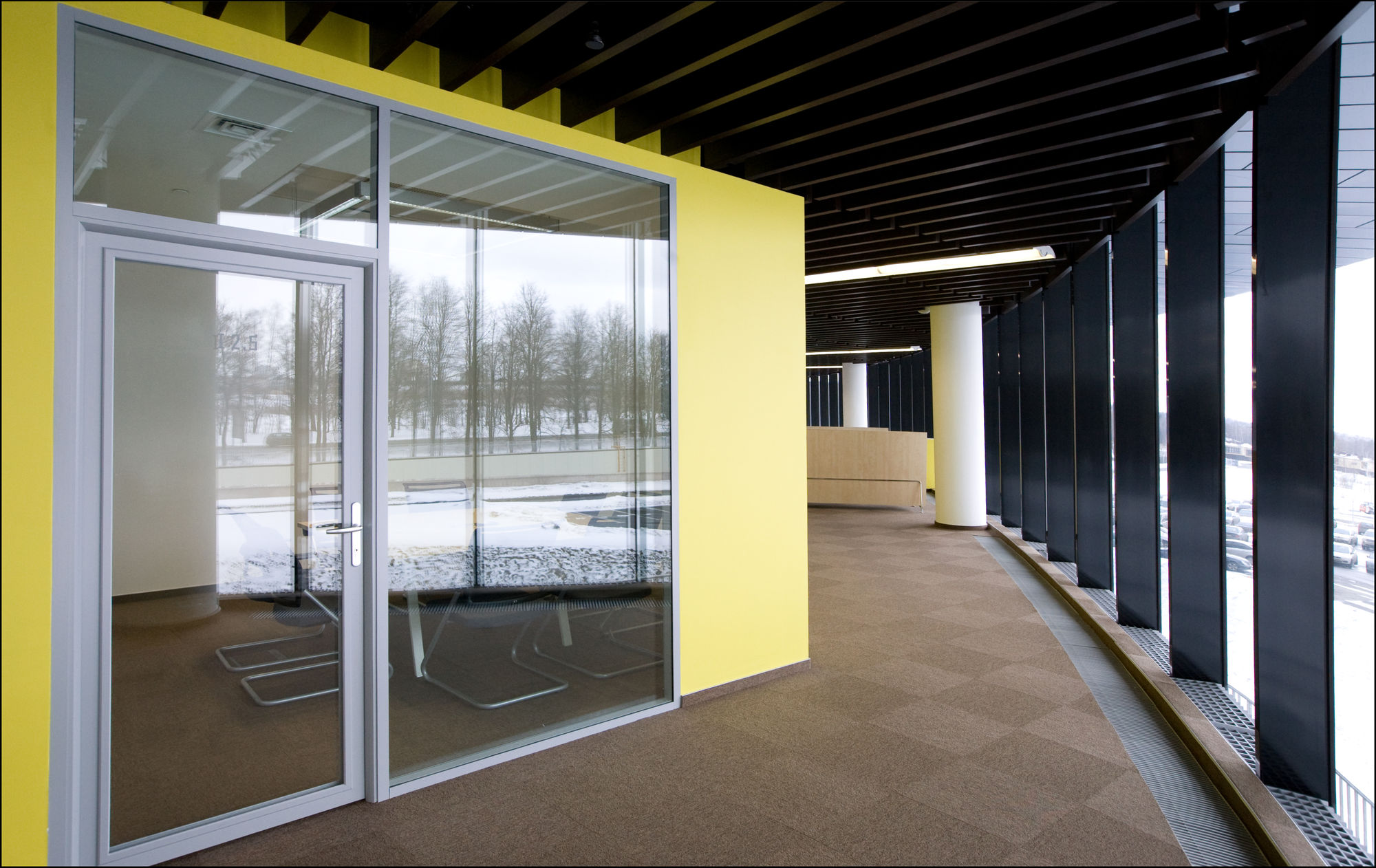 Photo Doors with aluminum lining