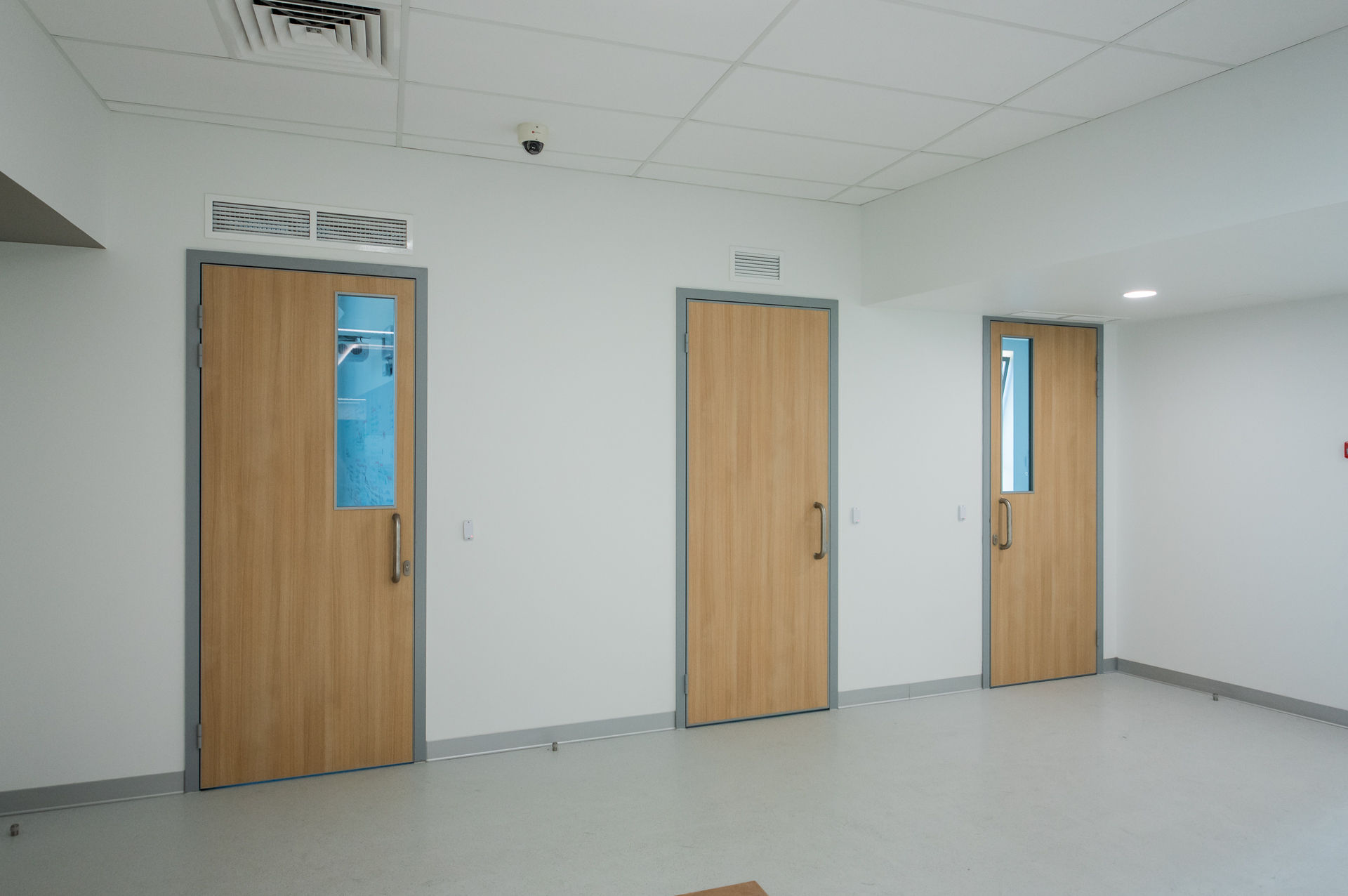 Photo Doors made of glass and chipboard UALCOM-Vitero