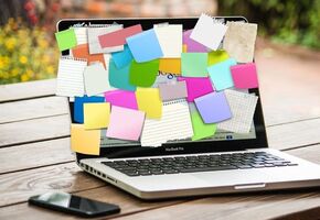 How to contact us during the quarantine period!