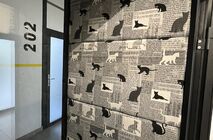 Photo Ualcom continues to work and make plans for the future.