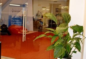 UALCOM-Crystal in project Grammarly